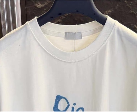Koszulka męska Dior Spring 2024